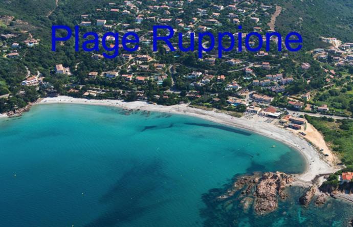 Vue Mer Panoramique Plage 50M Porticcio Corse Dış mekan fotoğraf