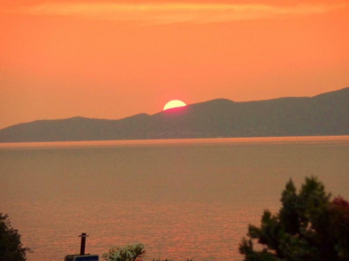Vue Mer Panoramique Plage 50M Porticcio Corse Dış mekan fotoğraf